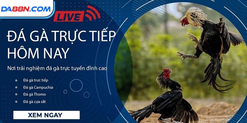Cách Chọn Trang Đá Gà Uy Tín Và Chất Lượng Nhất Năm 2025 2 Xét đến tiêu chí hoạt động hợp pháp, minh bạch